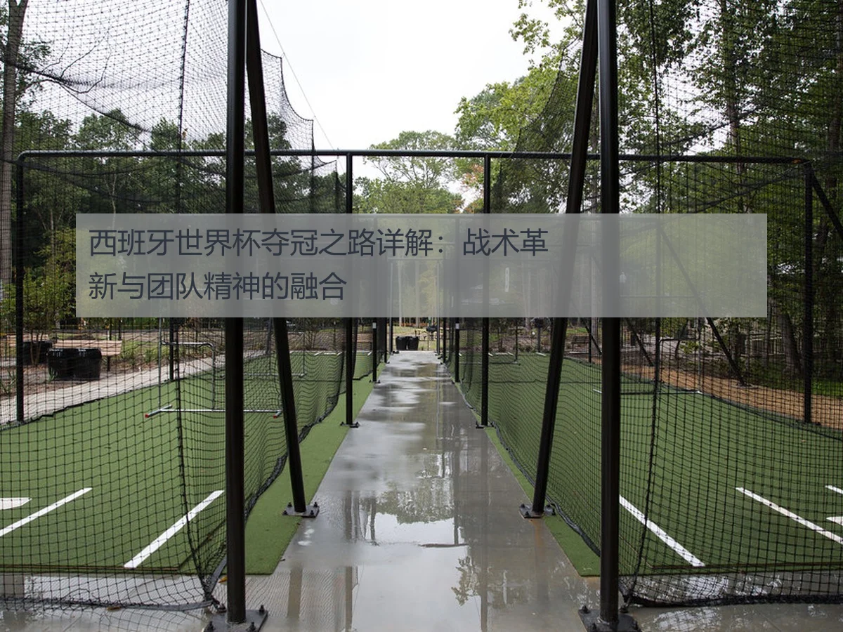 西班牙世界杯夺冠之路详解：战术革新与团队精神的融合